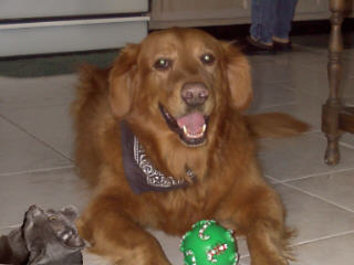 Click here to see pictures of the boys.