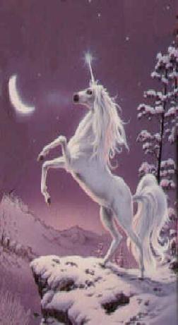 A Unicorn
