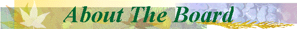 About The Board