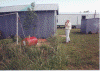 wpe44575.gif (237416 bytes)