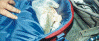 wpe75654.gif (456071 bytes)