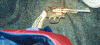 wpe50866.gif (375953 bytes)