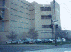wpe43046.gif (295025 bytes)