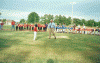 wpe71402.gif (255297 bytes)