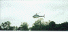 wpe45916.gif (292854 bytes)
