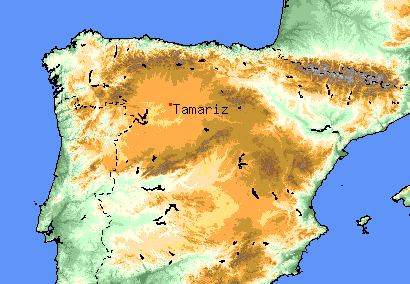 Situaci�n de Tamariz en Espa�a