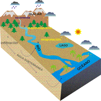 El ciclo hidrol�gico