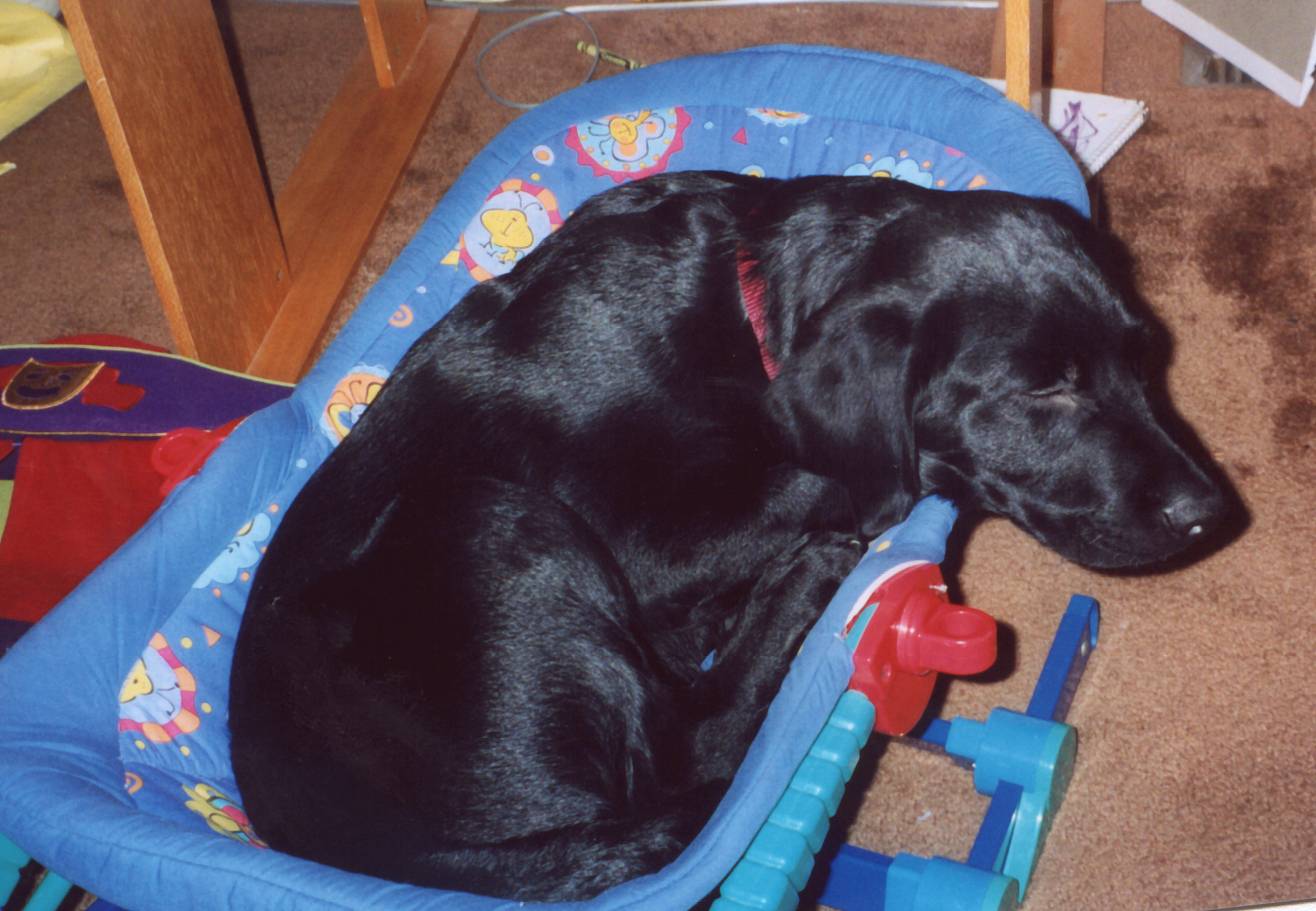 Taken 11/03- 12 weeks old