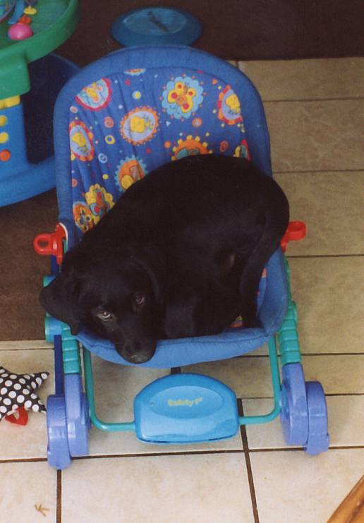 taken 11/03