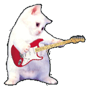 the kitties are getting angry