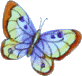 Gran-Gran's Graphics, butterfly