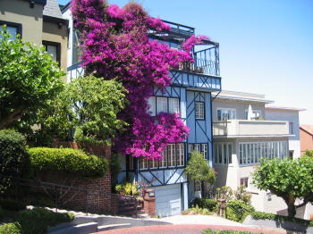 Pic, San Francisco's Lombard Street