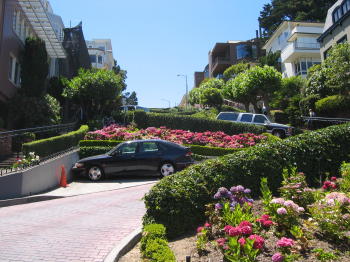 Pic, Lombard Street San Francisco
