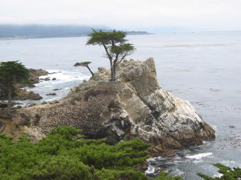 Pic, Big Sur