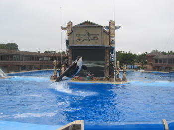 Pic, Sea World show