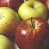 Delicious Fall Recipes