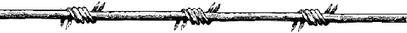bobwire2.gif - 5138 Bytes