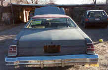 back_with_hood_up.jpg (43003 bytes)