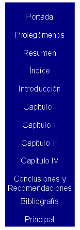 Text Box: Portada
Proleg�menos
Resumen
�ndice
Introducci�n
Cap�tulo I
Cap�tulo II
Cap�tulo III
Cap�tulo IV
Conclusiones y 
Recomendaciones
Bibliograf�a
Principal










