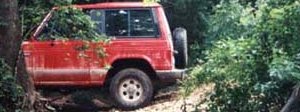 steveBry1_thumb.jpg (12606 bytes)
