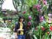 DSCF2789