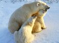 Mothers Love!