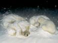 Slumber Party!