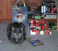 Nobody better lay a paw on my catnip!