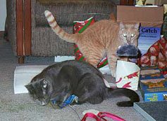 Mmmmmmmmm, Mom bought us the good stuff this time