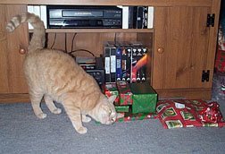 Oh boy, are all these for me??