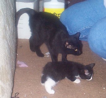 Slick and Tiny