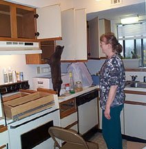 Gee, I wonder if I can jump that high?