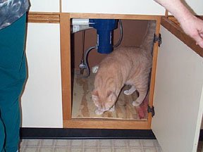 No! Don't shut that door yet, Aunt Dodie!