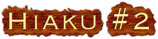 Hiaku for the people who hate hiaku