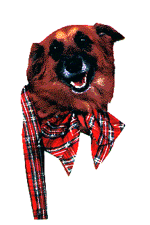 Buddy