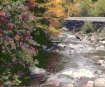 rockystream