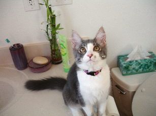 Clay explores the bathroom
