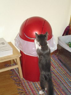 Clay explores the garbage