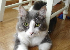 Clay under the table