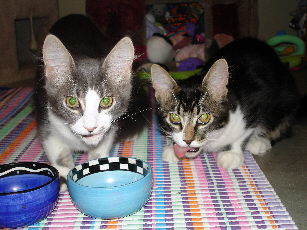 Twigs & Clay munching