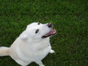 Willow smiles