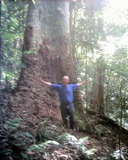 Mick shows just how big some of Mooltunyas trees are!