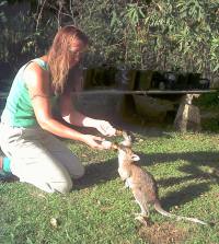 Jarita feeding two joeys