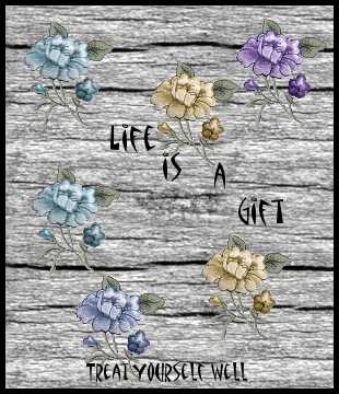 Life is a Gift