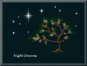 Night Dreams
