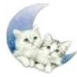 Mooncat
