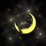 Mooncat