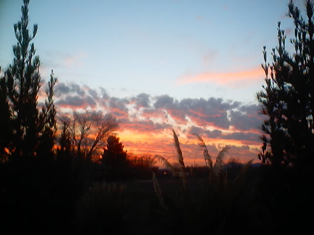 A California sunset (pic taken by yours truly)
