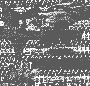 ls9.gif (8132 bytes)