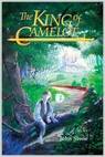 A lucid dreamer's account of Camelot